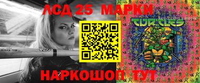 гидропоника Дубна