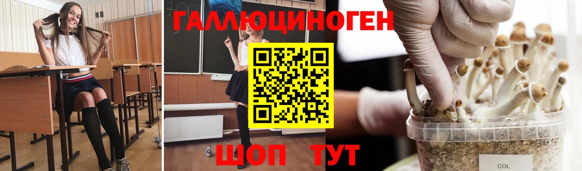 Псилоцибиновые грибы мицелий Моздок