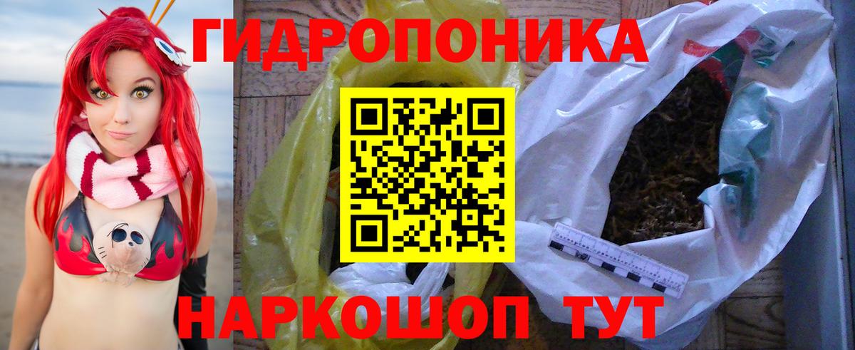 Конопля OG Kush Моздок